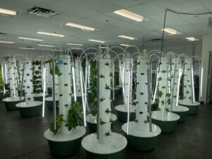 Maryhaven hydroponics program